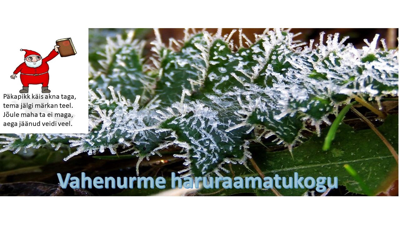 Vahenurme Raamatukogu